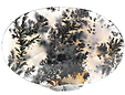 Agate Dendritique Agate Dendritique