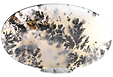 Agate Dendritique Agate Dendritique