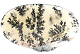 Agate Dendritique Agate Dendritique