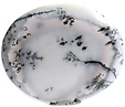 Agate Dendritique Agate Dendritique