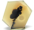 Agate Paysage Agate Paysage