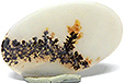 Agate Paysage Agate Paysage