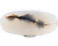 Agate Dendritique Agate Dendritique