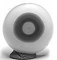 Agate ŒIL Agate ŒIL