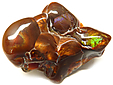 Agate de Feu Agate de Feu