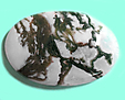 Agate Mousse Agate Mousse