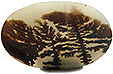 Agate Paysage Agate Paysage