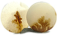 Agate Paysage Agate Paysage