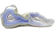Agate Bleue Agate Bleue