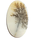 Agate Scénique Agate Scénique