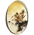 Agate Scénique Agate Scénique