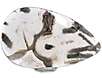 Agate Bâton Agate Bâton
