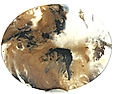 Agate Tigrée Agate Tigrée