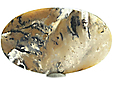 Agate Tigrée Agate Tigrée