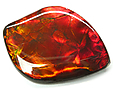 Ammolite Ammolite