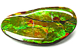 Ammolite Ammolite