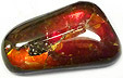 Ammolite Ammolite