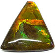 Ammolite Ammolite