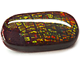 Ammolite Ammolite