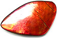 Ammolite Ammolite