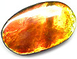 Ammolite Ammolite