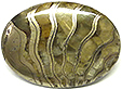 Ammonite Pyritisée Ammonite Pyritisée