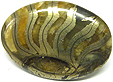 Ammonite Pyritisée Ammonite Pyritisée