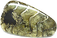 Ammonite Pyritisée Ammonite Pyritisée