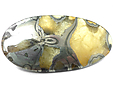 Ammonite Pyritisée Ammonite Pyritisée