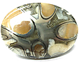 Ammonite Pyritisée Ammonite Pyritisée