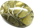 Ammonite Pyritisée Ammonite Pyritisée