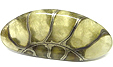 Ammonite Pyritisée Ammonite Pyritisée