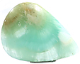 Aragonite Aragonite