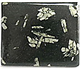 Basalte à Plagioclase Basalte à Plagioclase