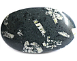 Basalte à Plagioclase Basalte à Plagioclase