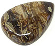 Bois Fossilisé Bois Fossilisé