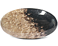 Bois Silicifié Bois Silicifié