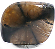 Chiastolite Chiastolite
