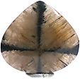 Chiastolite Chiastolite