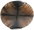 Chiastolite Chiastolite