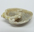 Coquillage & Druse Coquillage & Druse