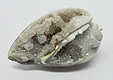Coquillage & Druse Coquillage & Druse