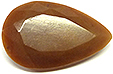Corozo (noix de) Corozo (noix de)