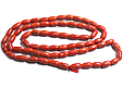 Corail Corail
