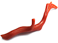 Corail Corail