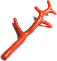 Corail Corail