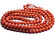 Corail Corail