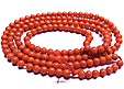 Corail Corail