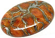 Corail Eponge Corail Eponge