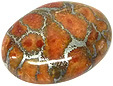 Corail Eponge Corail Eponge